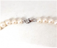 Halskette Mikiko Dame in Perlen MC1416O4FCBI045 - MC1416O4FCBI045